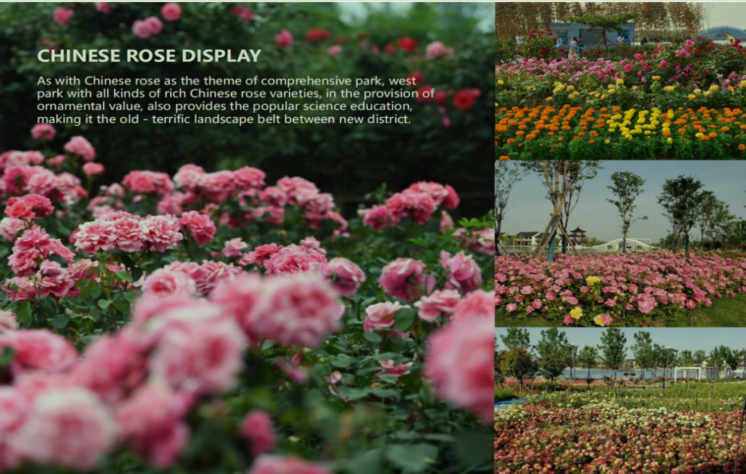 欧博ABG游戏(中国集团)唯一官方网站