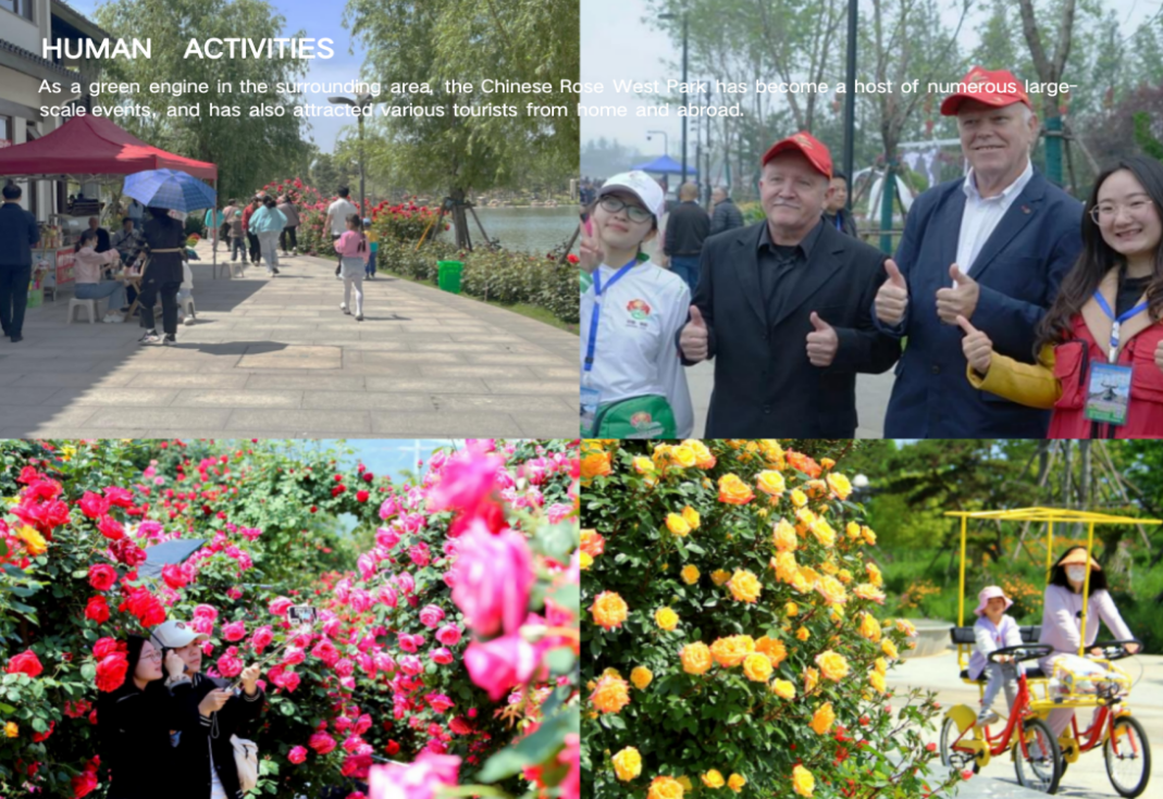 欧博ABG游戏(中国集团)唯一官方网站